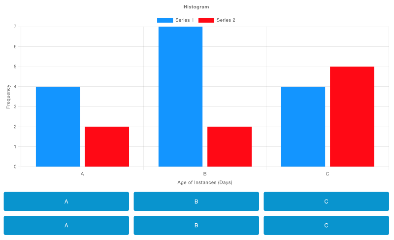 Example Histogram with categorical bins